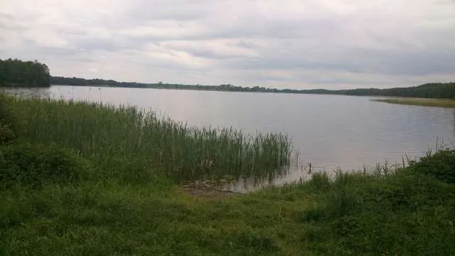 Zdjęcie Jezioro Brajnickie na Mazurach: kompletny poradnik wypoczynku i rozrywki