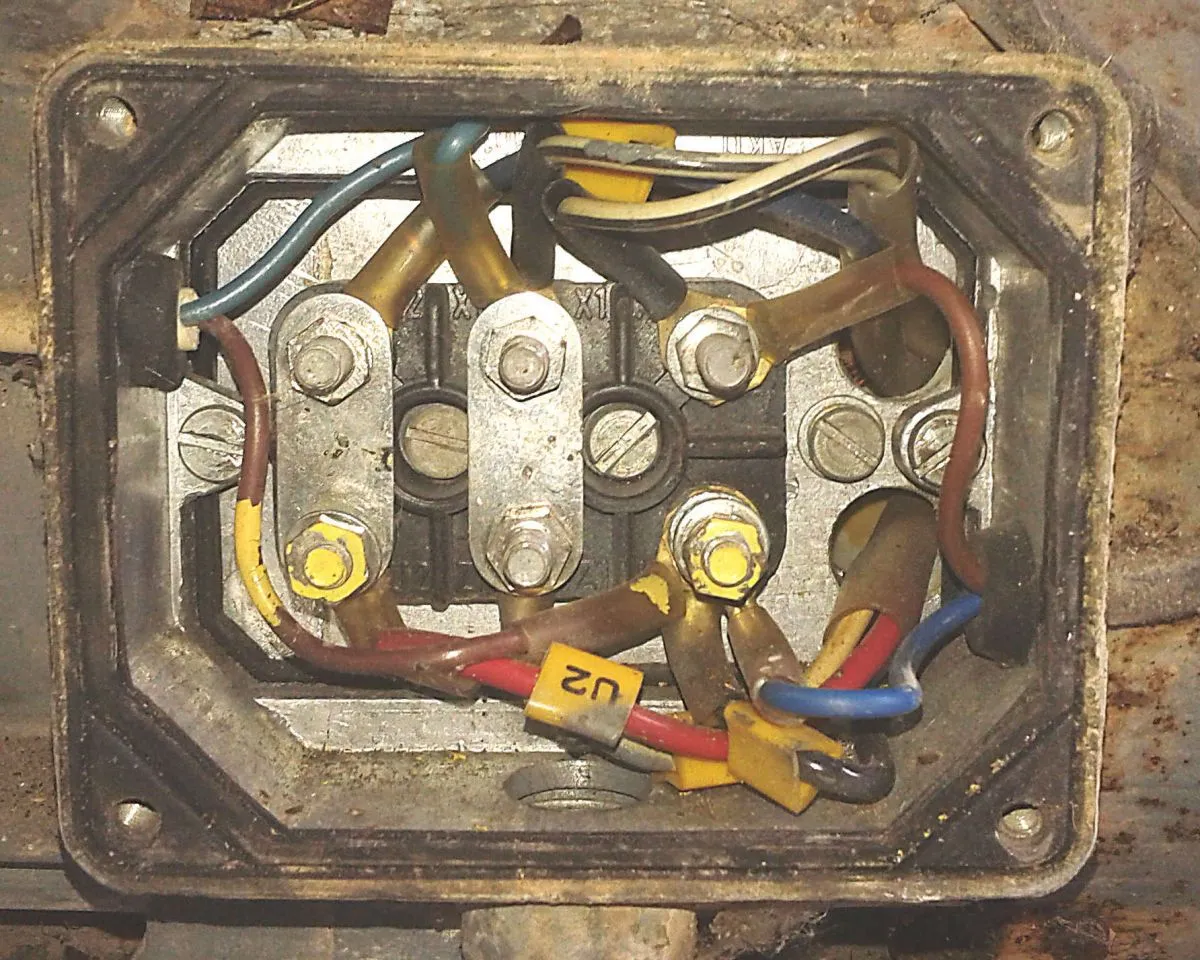 Zdjęcie Jaki silnik do krajzegi? 1400W czy 2800W - poradnik wyboru