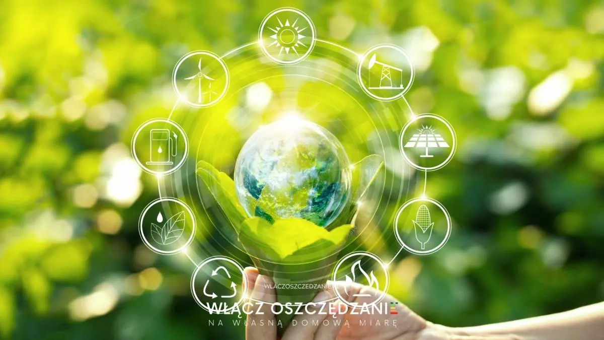Zdjęcie Zielony ład od kiedy? Poznaj kluczowe daty i ich znaczenie