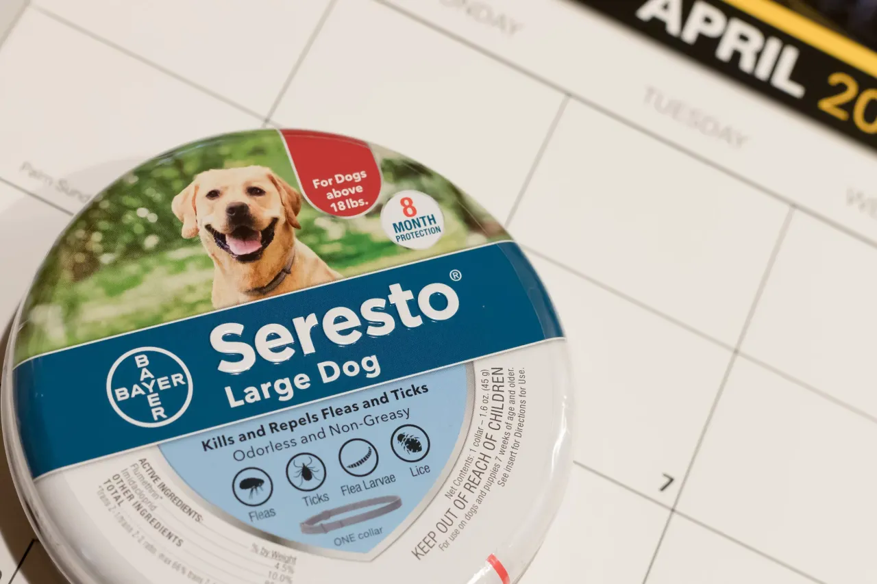 Zdjęcie Obroża Foresto czy Seresto - Która jest skuteczniejsza i bezpieczniejsza?