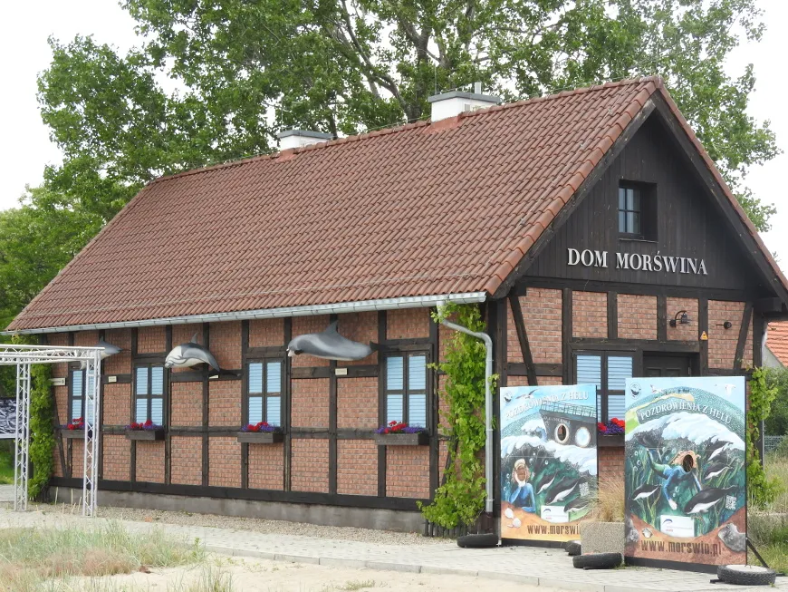 Zdjęcie Dom Morświna w Helu: fascynująca podróż do świata morświnów