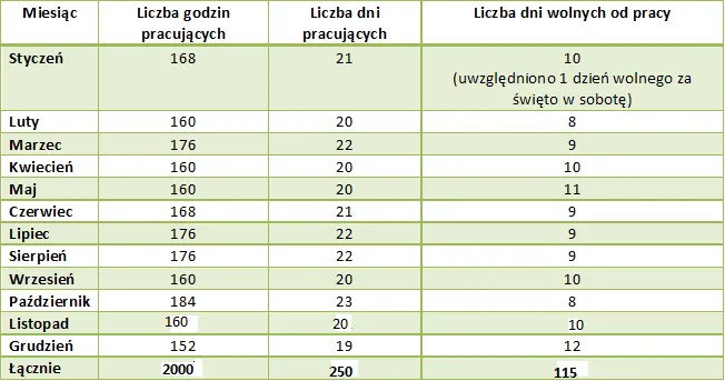 Zdjęcie Etat fizjoterapeuty ile godzin – jakie są rzeczywiste normy pracy?