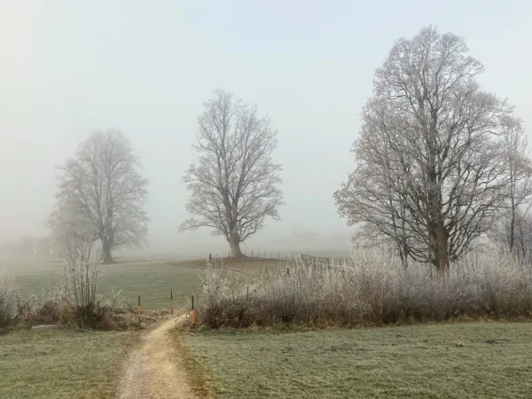 Zdjęcie Jaka pogoda w Ustroniu - sprawdź, co czeka Cię dzisiaj