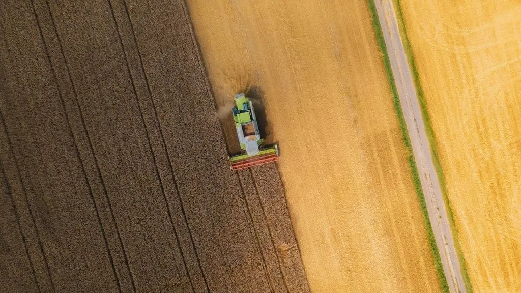 Zdjęcie Jak napisać podanie o wykup gruntu - uniknij błędów i zyskaj ziemię