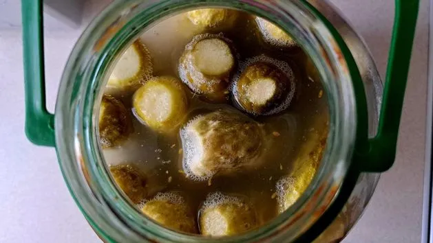 Zdjęcie Dlaczego ogórki kiszone gazują? Naturalne przyczyny i co to oznacza