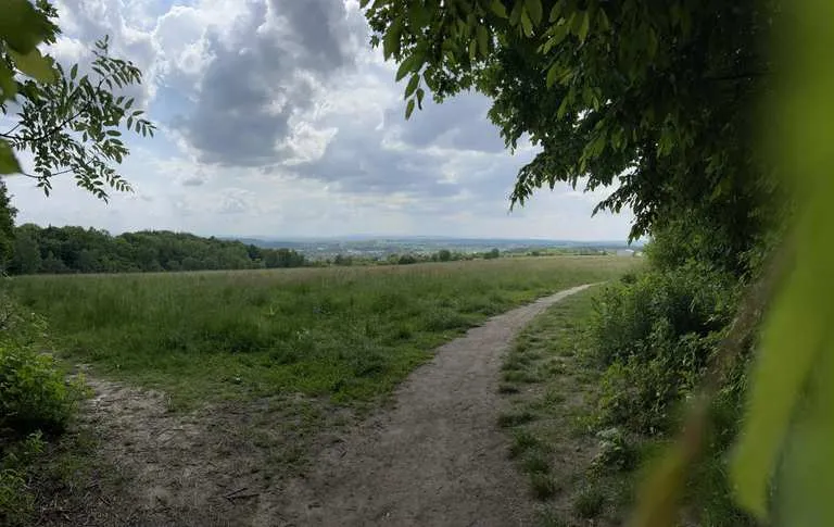 Zdjęcie Las Wolski trasy rowerowe - odkryj najlepsze szlaki i ich trudności