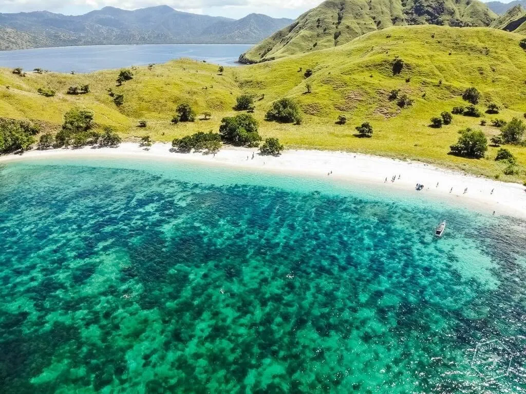 Zdjęcie Jak bezpiecznie spotkać smoki na wyspie Komodo? Rady odważnych
