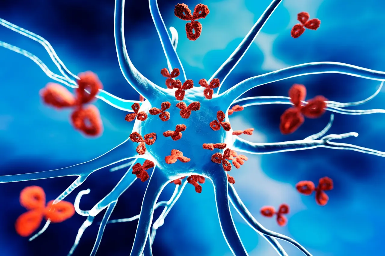Zdjęcie Autoimmunologia - co kryje się za tym pojęciem?