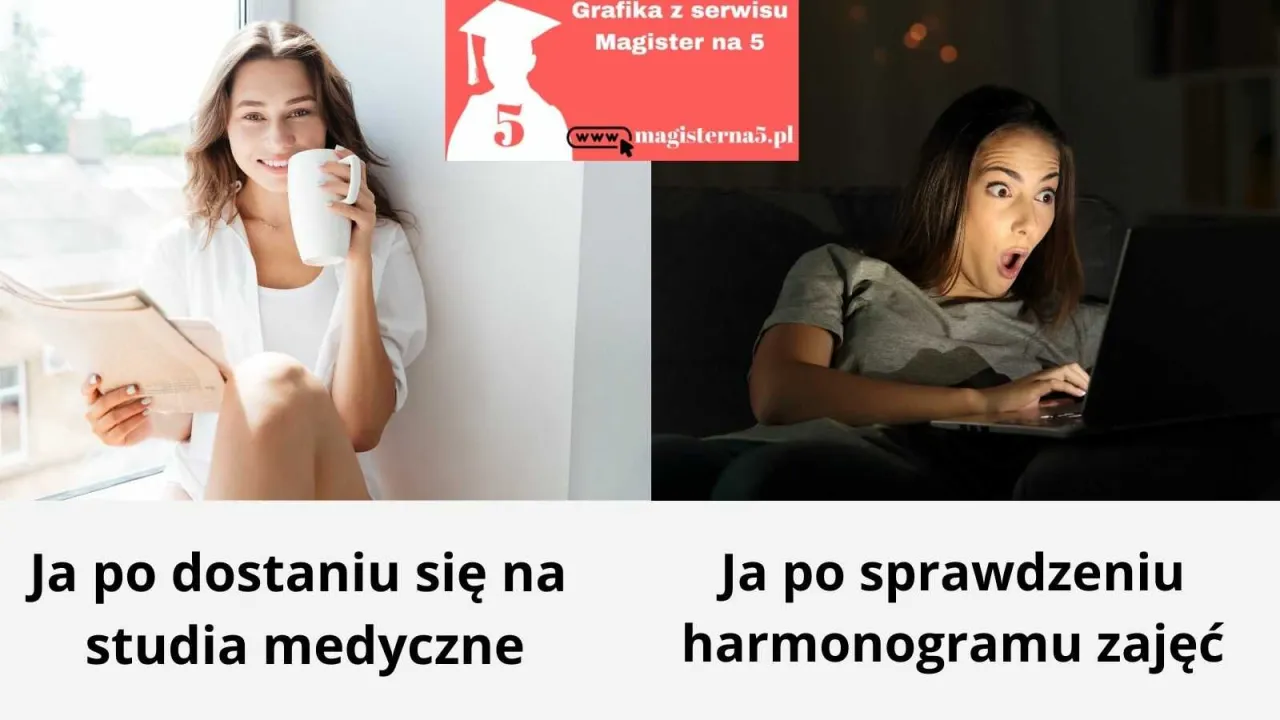 Zdjęcie Doktor nauk medycznych po jakich studiach? Oto wymagania i programy