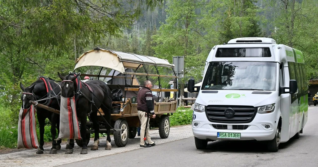 Zdjęcie Autobus na Morskie Oko: Jak Łatwo i Tanio Dotrzeć do Serca Tatr?