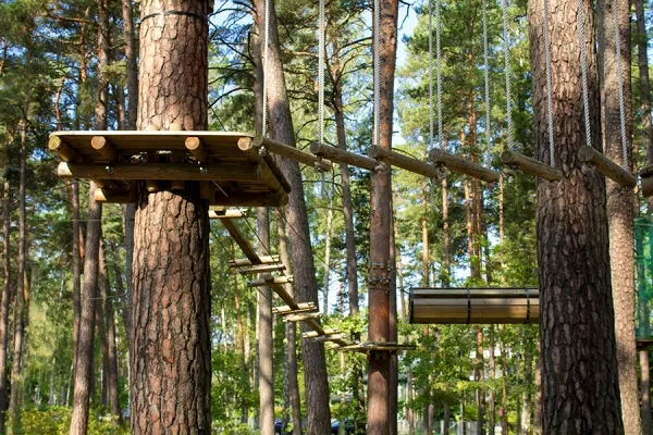 Zdjęcie Park linowy 3doliny - Przeżyj niezapomniane chwile wśród drzew