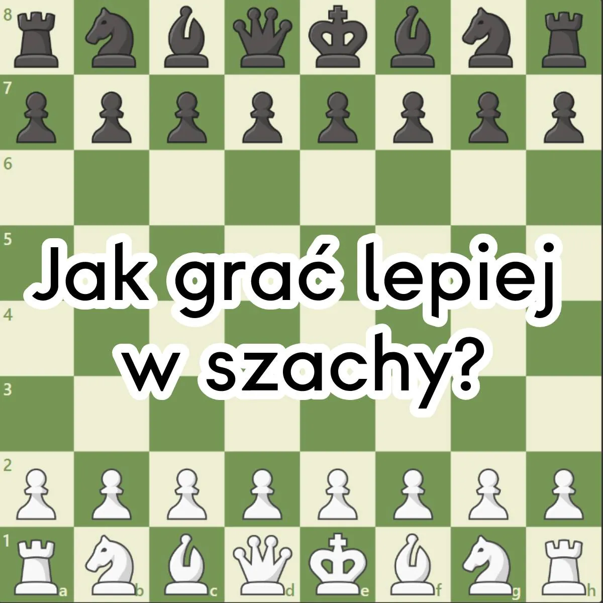 Zdjęcie Jak grać w szachy od podstaw? Prosta instrukcja dla początkujących bez błędów