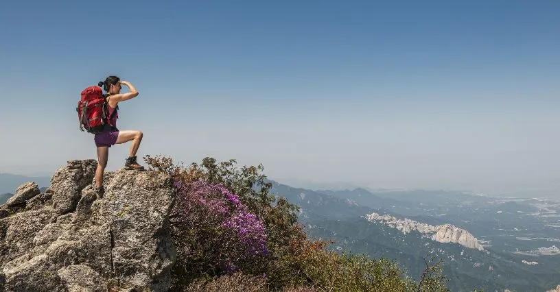 Zdjęcie Jakie buty trekkingowe damskie wybrać, aby uniknąć rozczarowania?