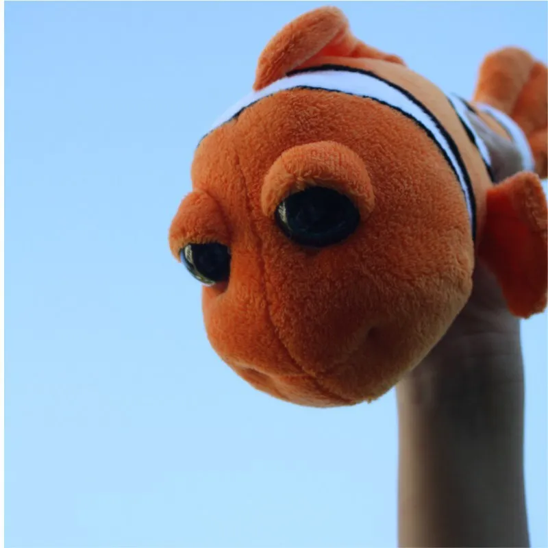 Zdjęcie Ile kosztuje rybka Nemo? Ceny, które zaskoczą każdego aquarystę