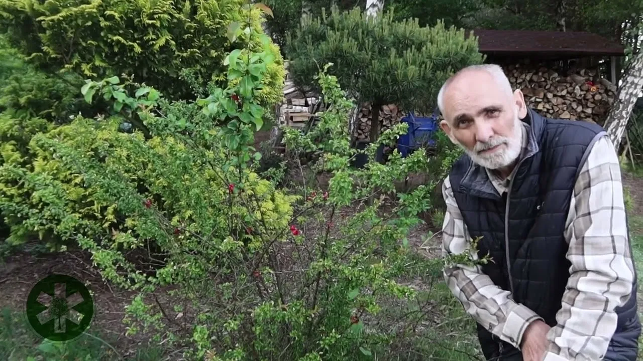 Zdjęcie Skuteczne sposoby, aby trawa nie rosła przy płocie i zaoszczędzić czas