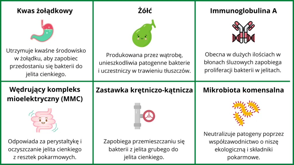 Zdjęcie Jakie badania na jelita pomogą uniknąć poważnych problemów zdrowotnych