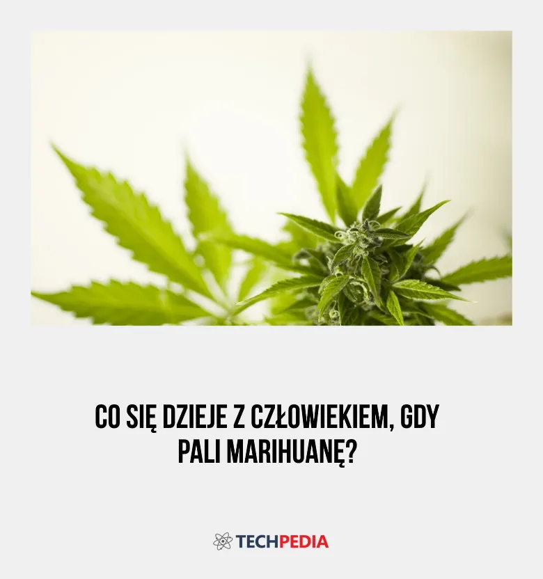 Zdjęcie Jak związek z facetem który pali marihuanę wpływa na twoje życie?