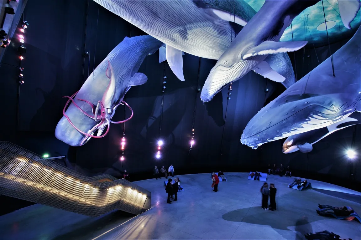 Zdjęcie Ozeaneum w Stralsundzie: Niezapomniane atrakcje na Rugii