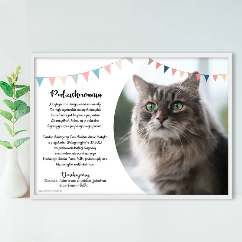 Zdjęcie Jak napisać podziękowanie dla weterynarza, aby wyrazić wdzięczność?