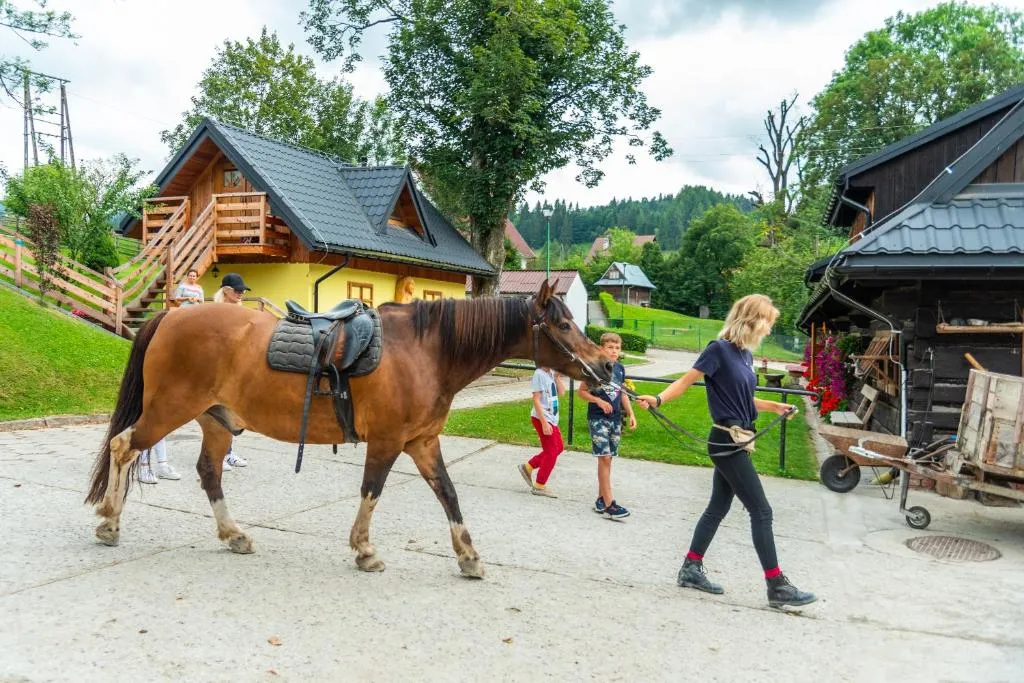 Zdjęcie Stadnina Koni Rajd w Jaworkach - idealne miejsce na jazdę konną