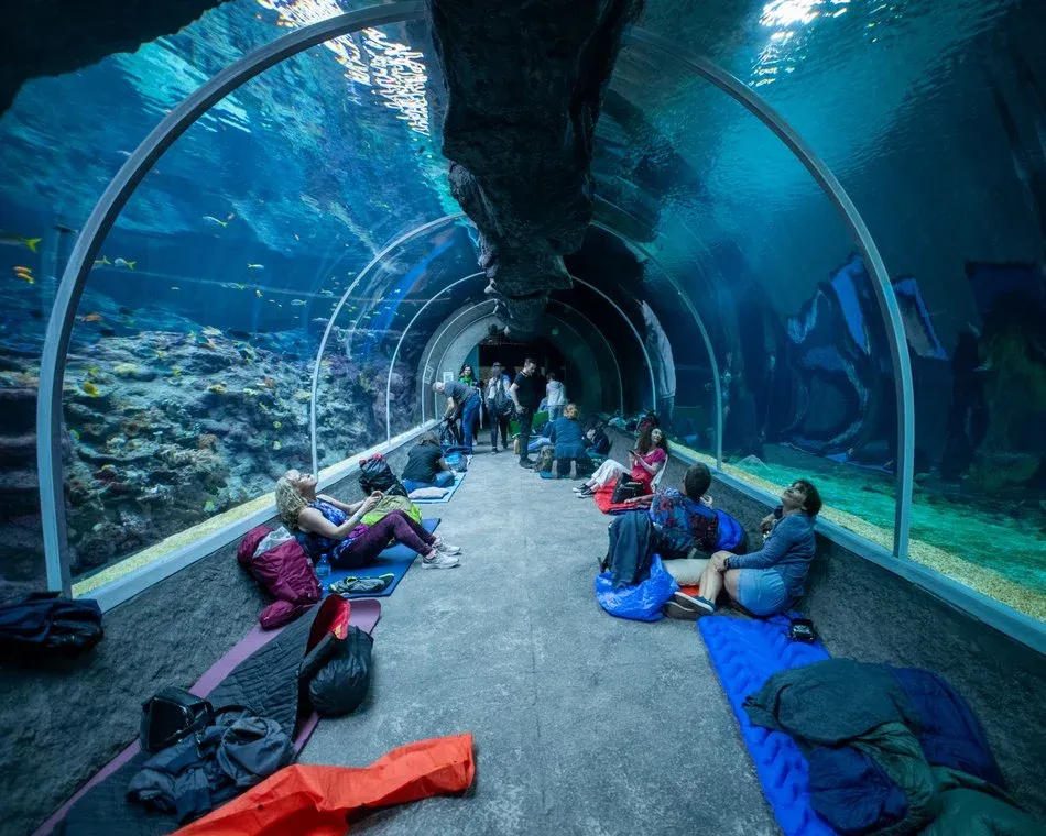 Zdjęcie Oceanarium Łódź - Fascynujące atrakcje i unikalne doświadczenia