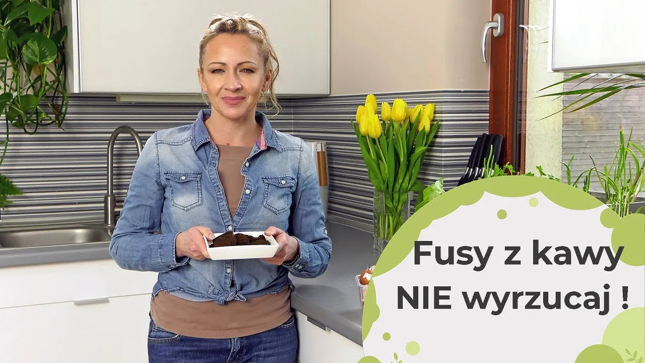 Zdjęcie Fusy z kawy do jakich roślin doniczkowych - poznaj najlepsze rośliny