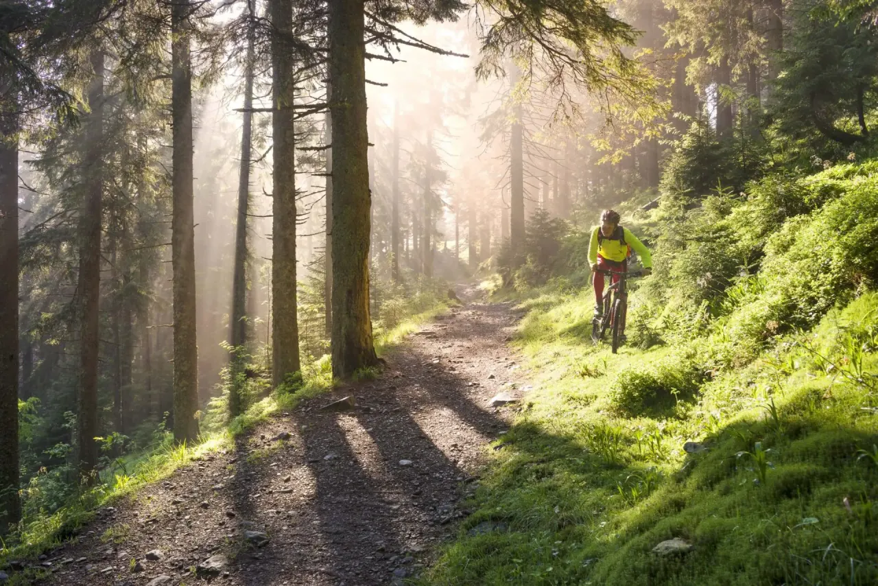 Zdjęcie Trasy rowerowe Bieszczady - odkryj najpiękniejsze szlaki i trasy