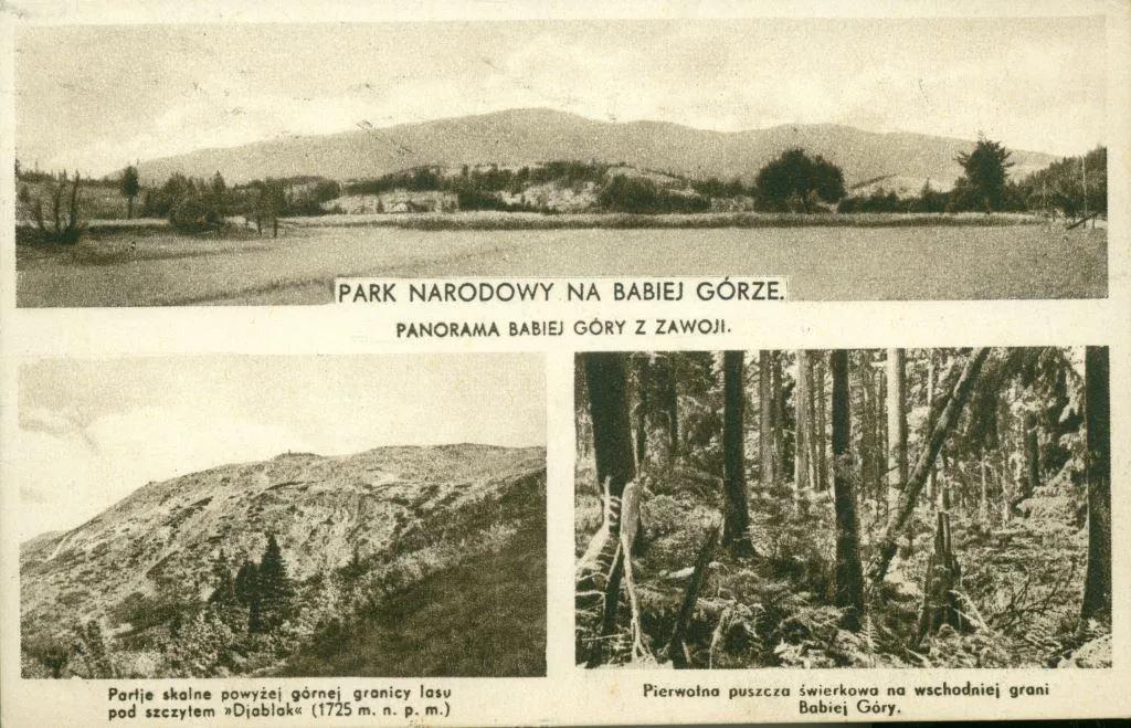 Zdjęcie Babiogórski Park Narodowy: 7 Ciekawostek Które Cię Zaskoczą