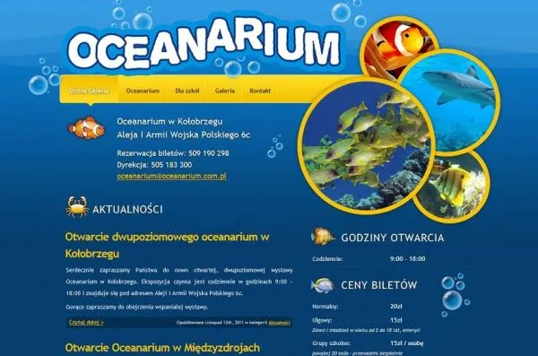 Zdjęcie Ile kosztuje bilet do oceanarium w Kołobrzegu? Ceny i zniżki