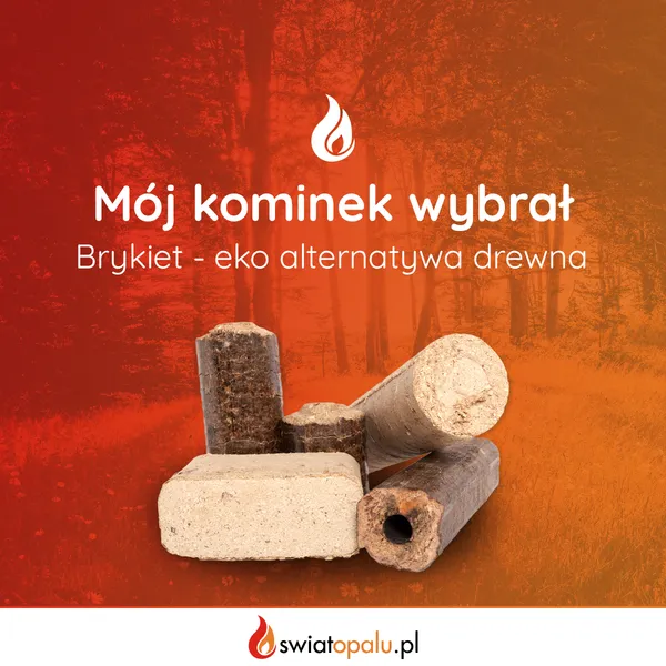 Zdjęcie Co to brykiet i dlaczego warto go używać jako ekologiczne paliwo opałowe