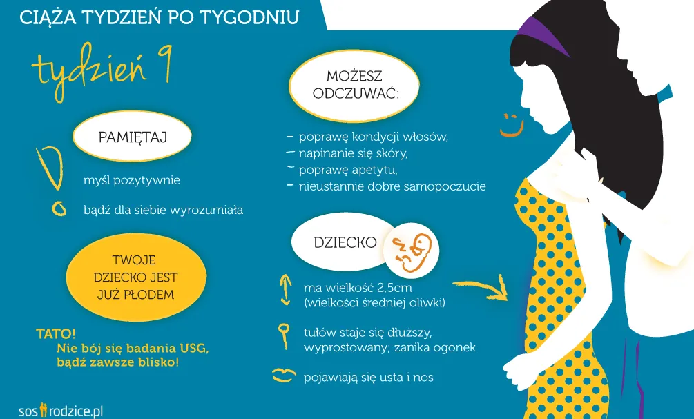 Zdjęcie Który tydzień ciąży jest najniebezpieczniejszy? Zrozum ryzyko dla płodu.