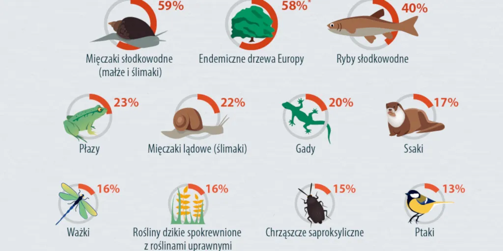 Zdjęcie Zagrożone gatunki w Polsce: które zwierzęta mogą wkrótce zniknąć i dlaczego?