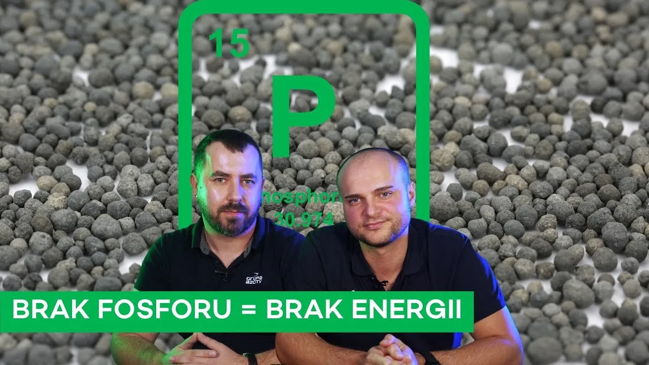 Zdjęcie Jak uzupełnić fosfor w glebie, aby poprawić zdrowie roślin?