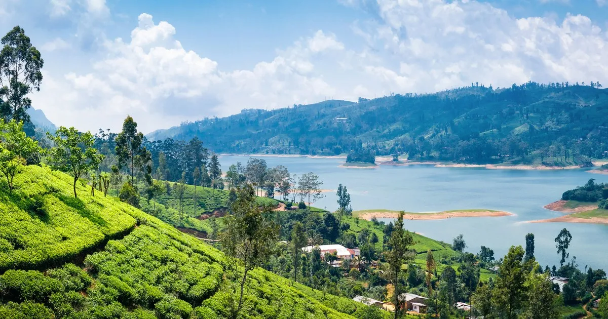 Zdjęcie Wyspa na której leży Sri Lanka - Cejlon i jego tajemnice