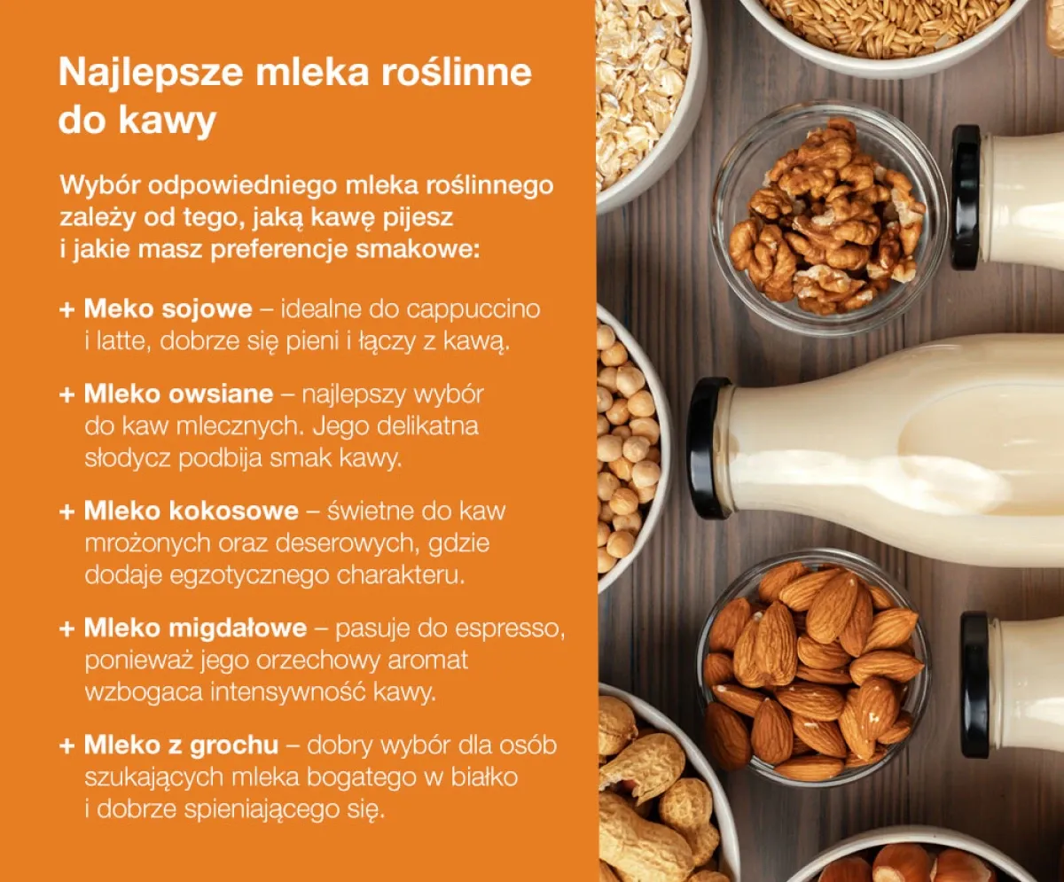 Zdjęcie Jakie mleko roślinne najsmaczniejsze? Odkryj najlepsze opcje smakowe