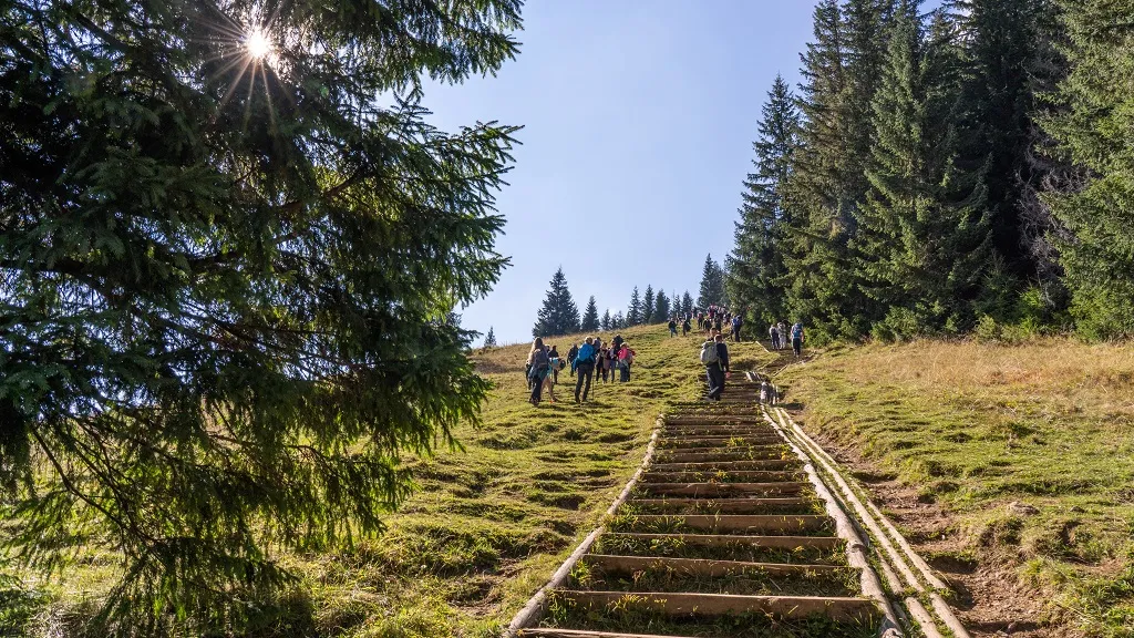 Zdjęcie Ile schodów na Gęsią Szyję? Odkryj wyzwania tej trasy!