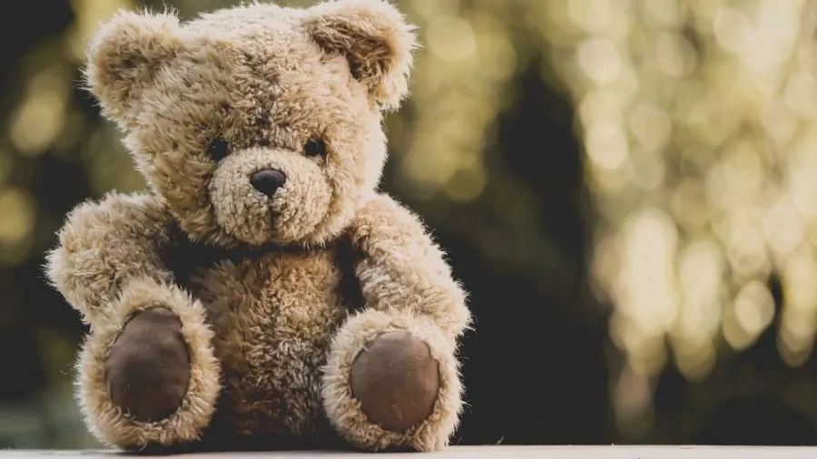 Zdjęcie Kiedy jest światowy dzień pluszowego misia i jak go świętować?