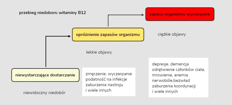 Zdjęcie Niedobór witaminy B12: objawy psychiczne, które mogą zaskoczyć