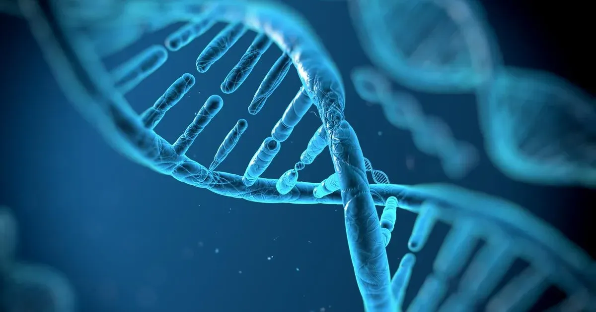 Zdjęcie Biologia: Czym jest genetyka i dlaczego jest tak ważna?