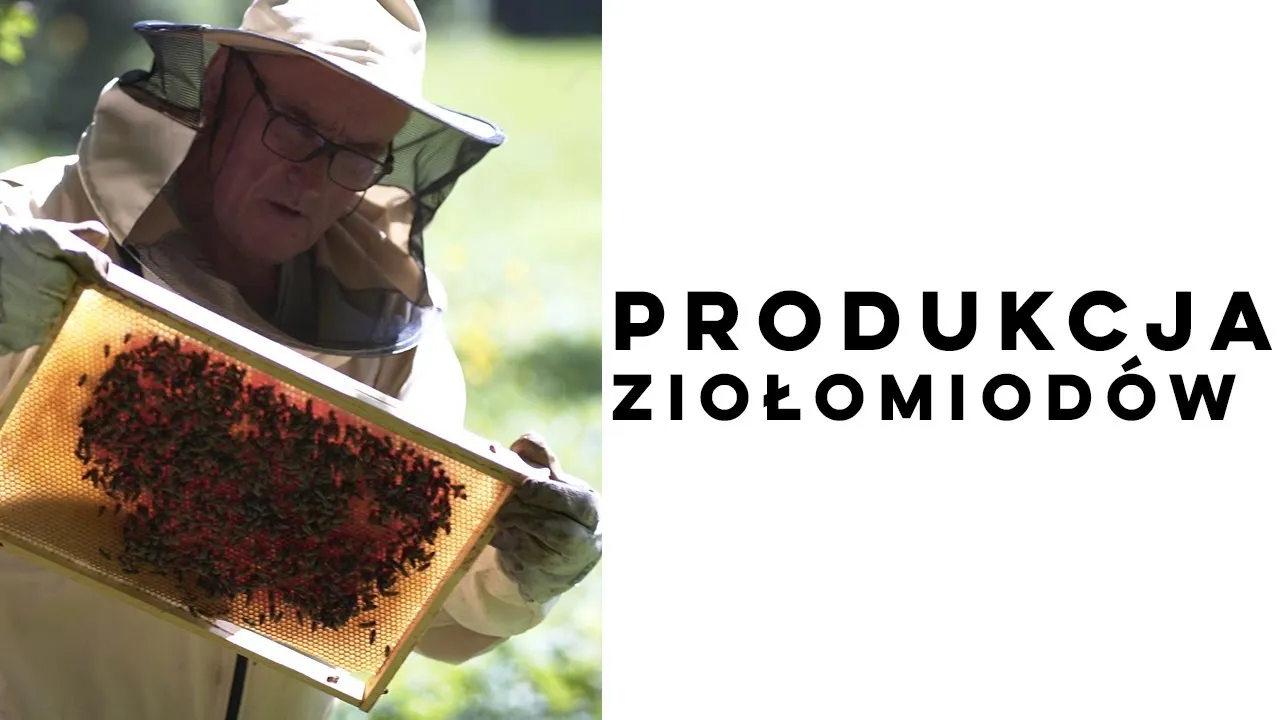 Zdjęcie Jak zrobić ziołomiód malinowy – prosty przepis na zdrowy miód
