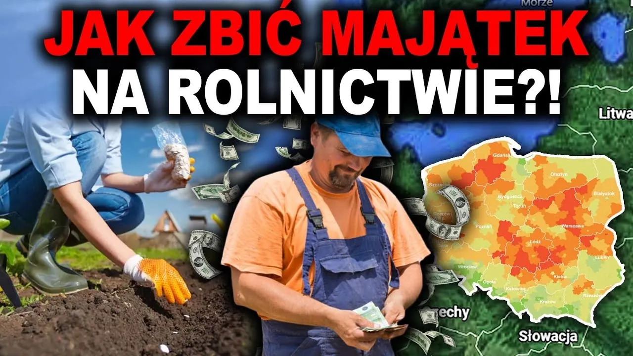 Zdjęcie Co najlepiej uprawiać dla zysku? Odkryj najbardziej opłacalne rośliny