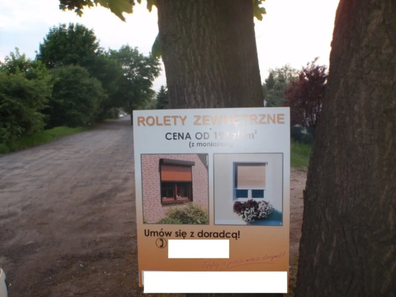 Zdjęcie Czy można wbijać gwoździe w drzewo? Poznaj niebezpieczeństwa i konsekwencje