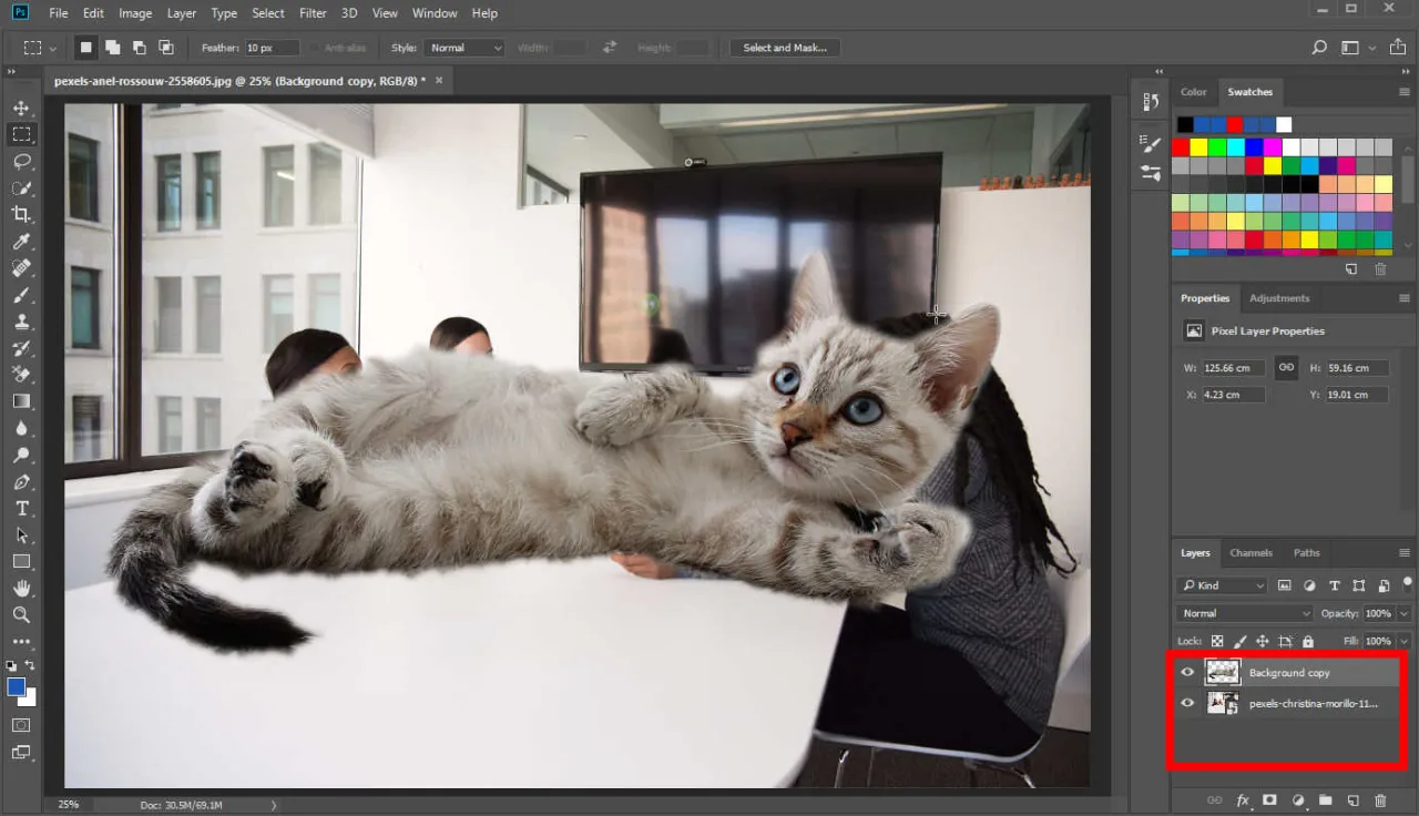 Zdjęcie Jak zmienić tło w Photoshopie? Prosty przewodnik krok po kroku