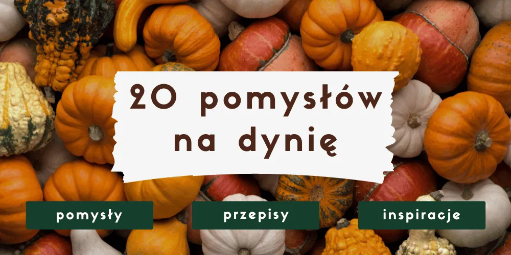 Zdjęcie Co ugotować z dyni? Przepisy na pyszne dania, które zachwycą