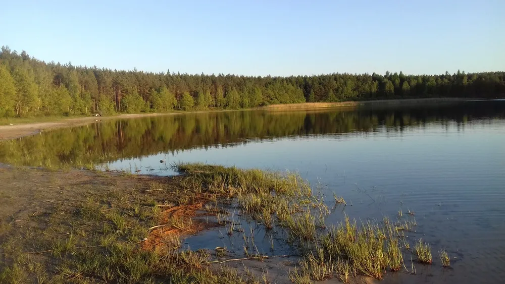 Zdjęcie Jezioro Dobrowieckie Wielkie - piękne miejsce na relaks i wypoczynek