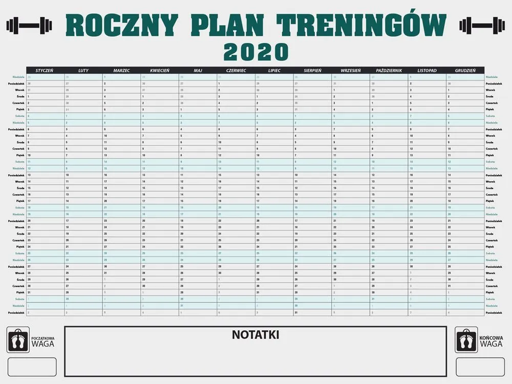 Zdjęcie Kompleksowy roczny plan treningowy w koszykówce: od A do Z