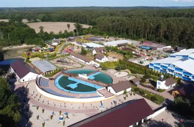 Zdjęcie Łeba atrakcje oceanarium: co warto zobaczyć i dlaczego to miejsce zachwyca