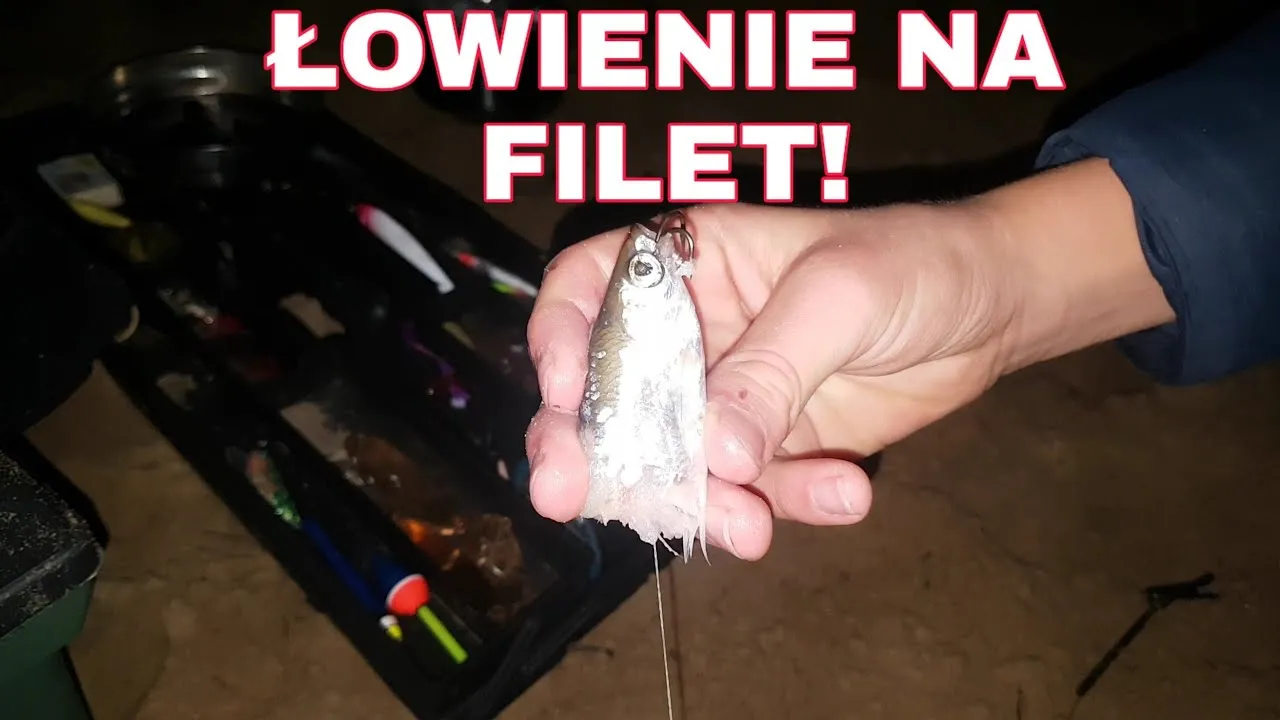 Zdjęcie Jaki haczyk na sandacza z gruntu – wybierz najlepsze haki i techniki