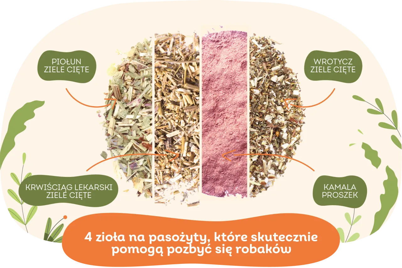 Zdjęcie Skuteczne metody odrobaczania: jak pozbyć się pasożytów z organizmu