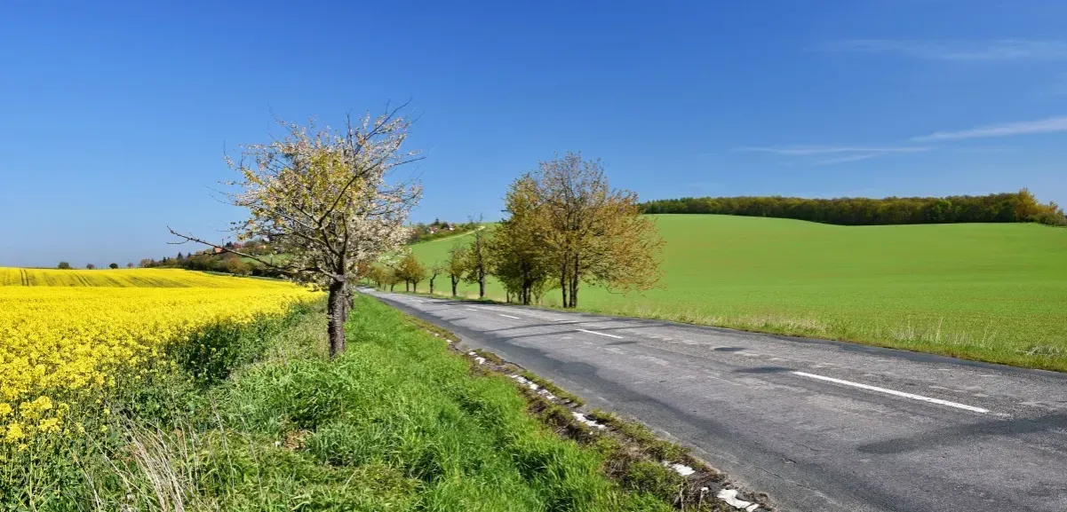 Zdjęcie Jak ominąć płatną autostradę w Słowenii i zaoszczędzić pieniądze